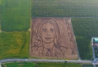 Vídeo: Artista italiano homenageia Kamala Harris em plantação na Itália
