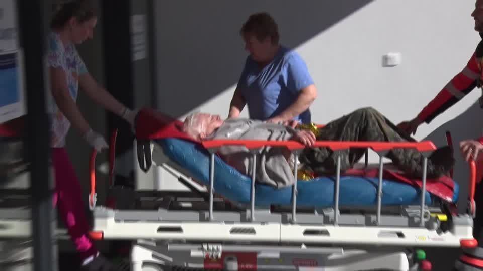 Bear attacks man in western Slovakia