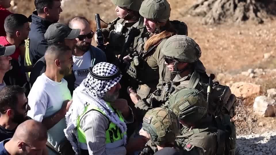 Attacked by settlers and blocked by soldiers, Palestinian farmers face grim olive harvest