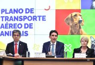 Governo apresenta diretrizes para transporte de animais em aviões após morte do cão Joca