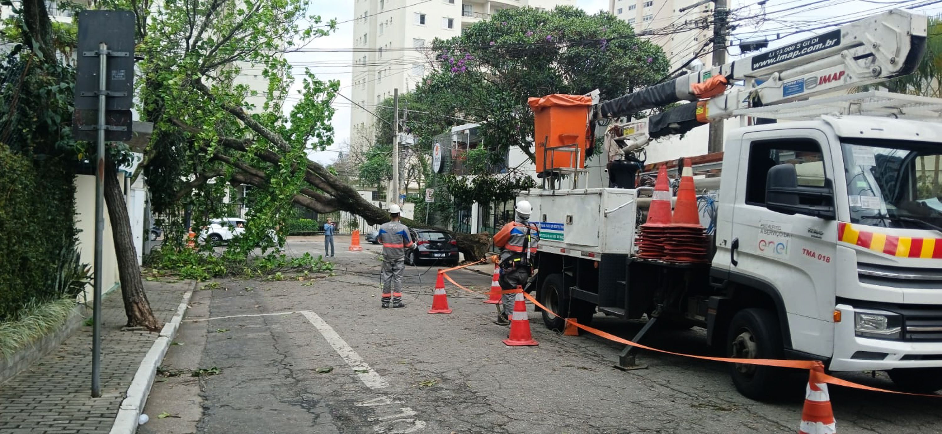 Árvore de grande porte cai em cima de carro no Jardim Marajoara na Zona Sul de SP