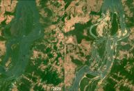 Veja antes e depois da seca extrema no Rio Xingu