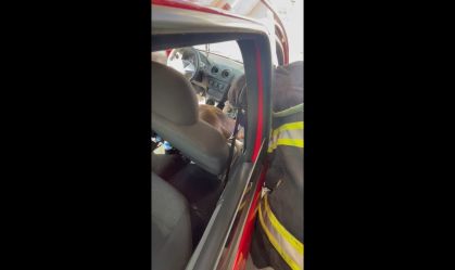 Pitbull "invade" carro em posto de gasolina em Goiás; veja