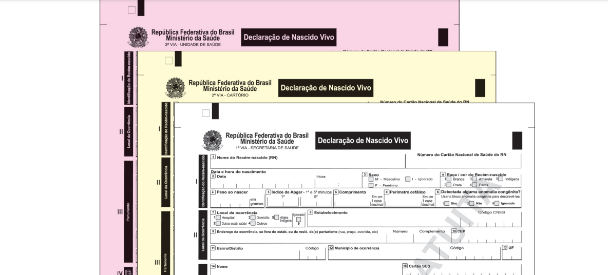 Declaração de Nascidos Vivos precisará ter a categoria "parturiente/mãe" • Reprodução