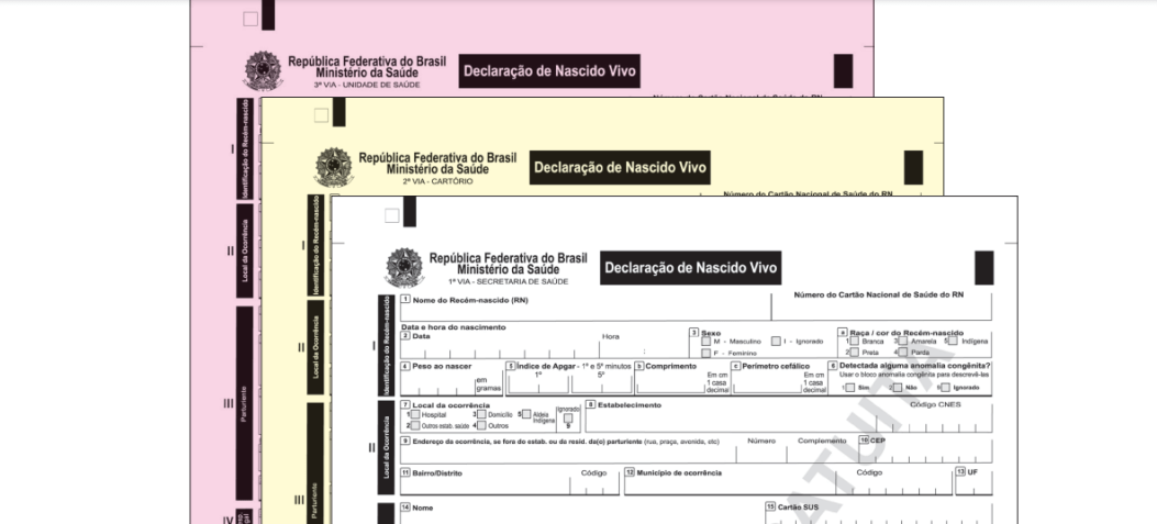 Declaração de Nascidos Vivos precisará ter a categoria "parturiente/mãe" • Reprodução