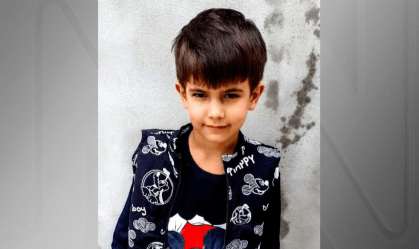 Menino de seis anos morreu após ser picado por abelha no Paraná
