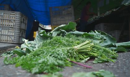 Brasil descarta 30% dos alimentos produzidos, diz ONU