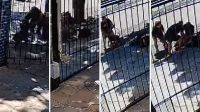 Casal vira réu por homicídio culposo da filha no RS