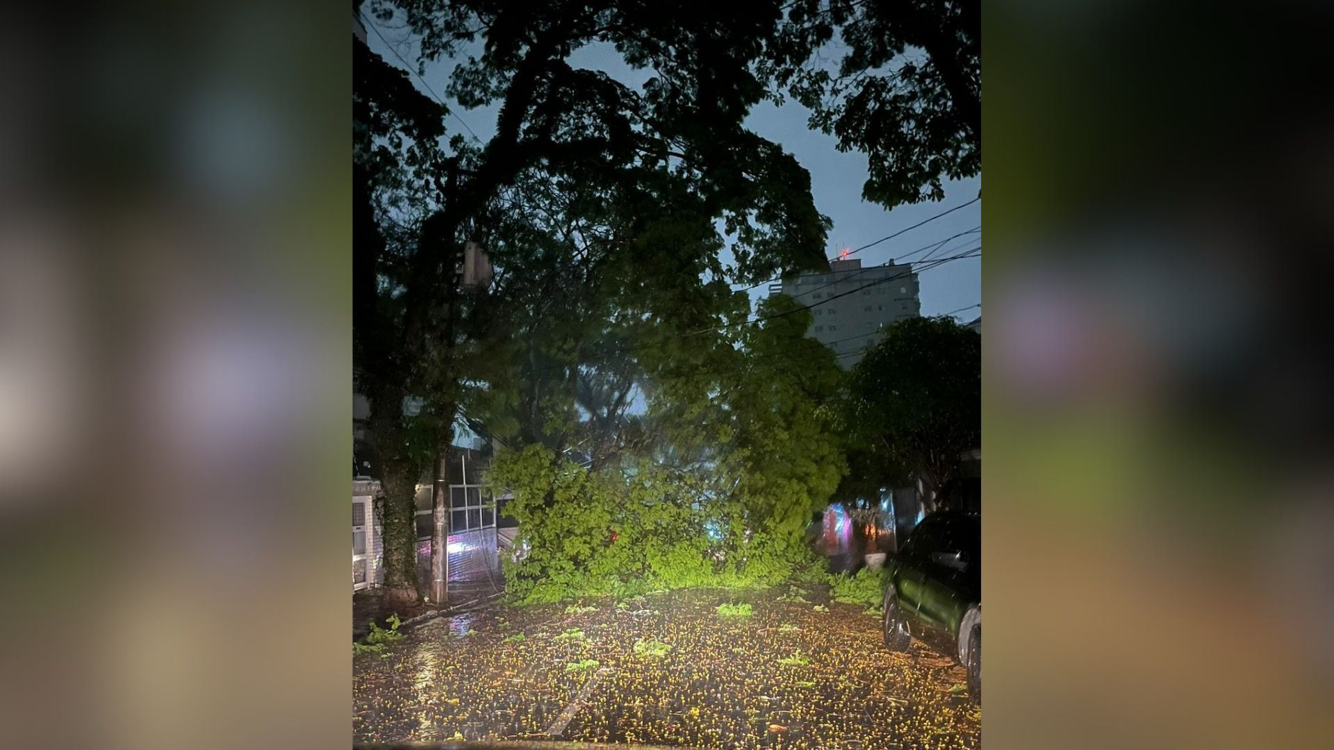 Chuva SBC