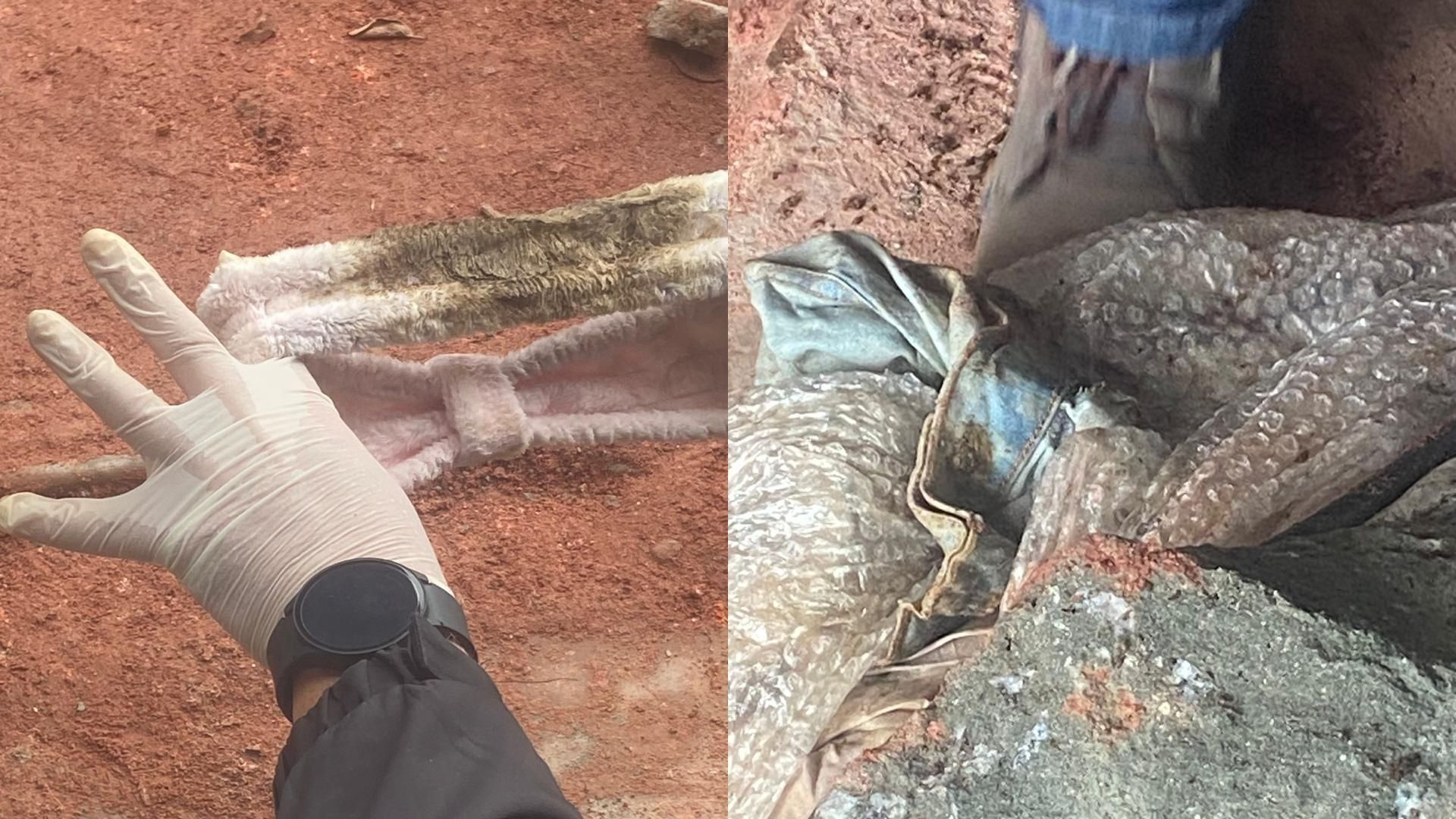 Peças encontradas no local onde corpo de advogada havia sido enterrado • Reprodução