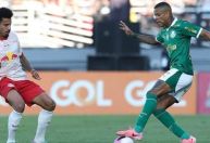 Palmeiras empata e vê Botafogo aumentar vantagem na liderança