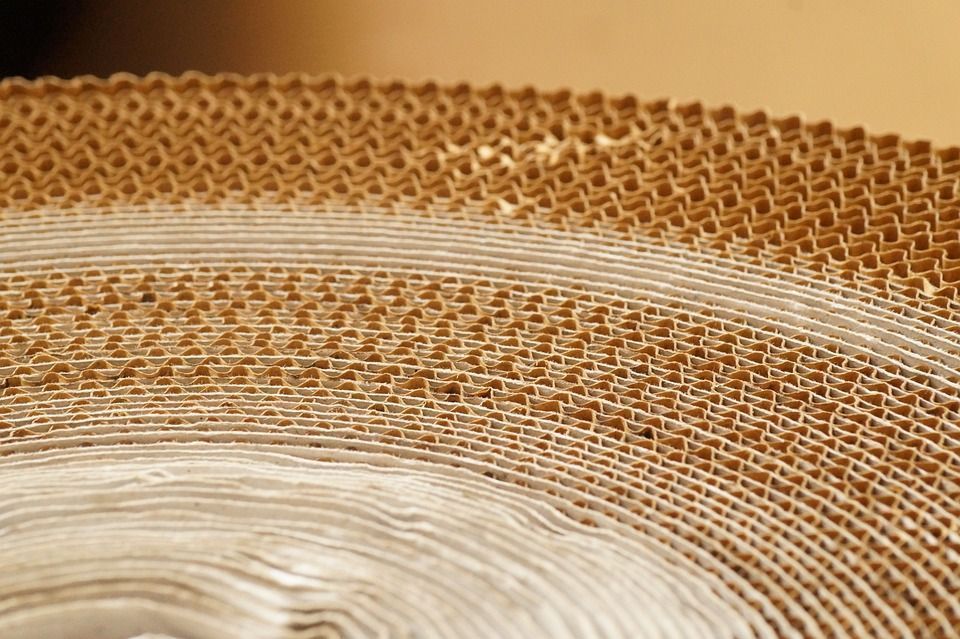 Aumento da demanda por alimentos impulsiona indústria de embalagens em 2026