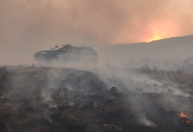 Incêndios na Argentina: moradores se mobilizam para proteger as florestas
