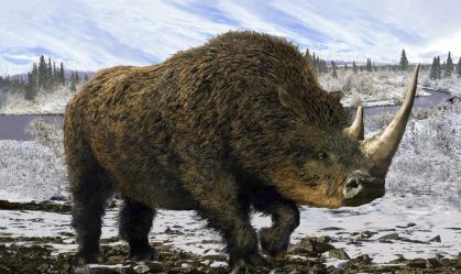 Cientistas encontram rinoceronte mumificado de 32 mil anos em permafrost