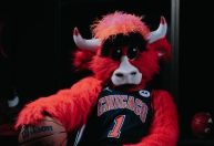 Bulls x Pacers: horário e onde assistir ao jogo da NBA