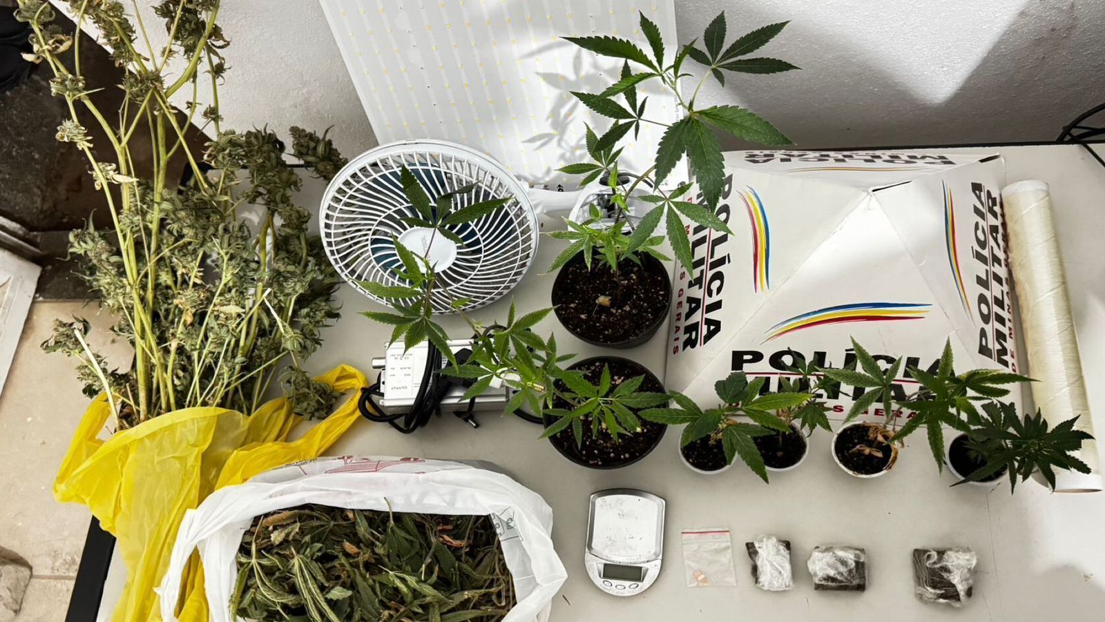 Drogas encontradas pela polícia em MG
