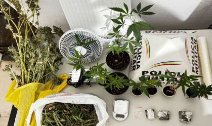 Drogas encontradas pela polícia em MG