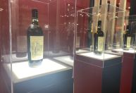 Principal destino de vinhos portugueses, Brasil recebe tinto consagrado e agita mercado