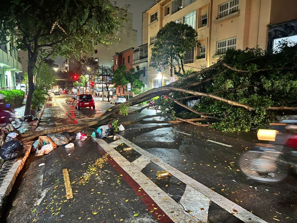 Chuva forte em São Paulo causa uma morte na capital; três morreram no  interior | CNN Brasil