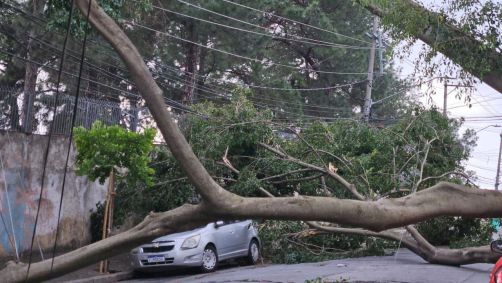 Árvore cai sobre fiação elétrica e atinge carro no Rio Pequeno, na zona oeste de São Paulo