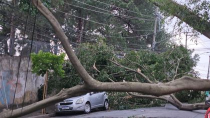 Árvore cai sobre fiação elétrica e atinge carro no Rio Pequeno, na zona oeste de São Paulo