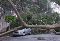 Cidade de São Paulo registra a ventania mais forte desde 1995, diz Defesa Civil
