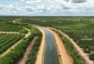 Criança morre afogada em canal de irrigação em Petrolina (PE); polícia investiga