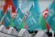 Entenda quem são os principais participantes e o que está em jogo na COP29