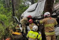 Motorista perde controle e caminhão cai em ribanceira em Minas Gerais