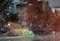 Temporal provoca alagamentos e queda de árvores em Belo Horizonte; veja imagens