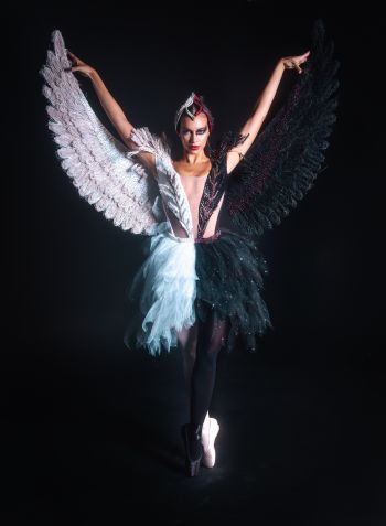 Ex-BBB Alane usa fantasia inspirada em "O Lago dos Cisnes" • Divulgação/@berniewalbenny