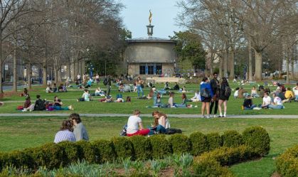 american university