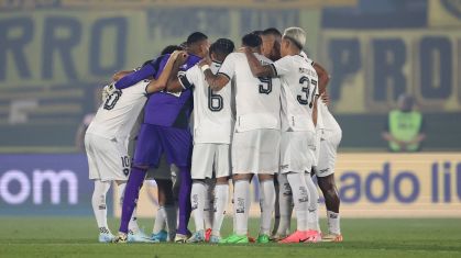 Botafogo garantiu vaga inédita para a final da Libertadores