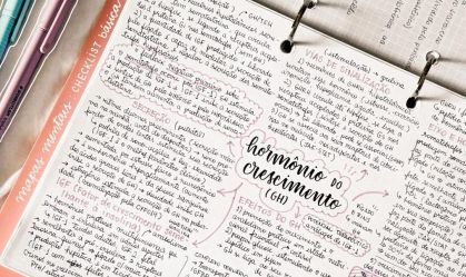 caderno bonito