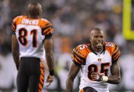 Ex-estrelas da NFL se enfrentarão em luta de exibição de MMA