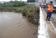 Goiânia é o lugar que mais choveu no Brasil; números podem ser históricos