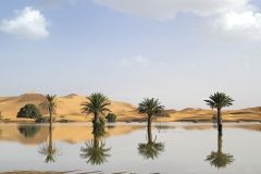 Palmeiras refletidas em um lago formado pelas fortes chuvas na cidade desértica de Merzouga, perto de Rachidia, no sudeste do Marrocos, em 2 de outubro.