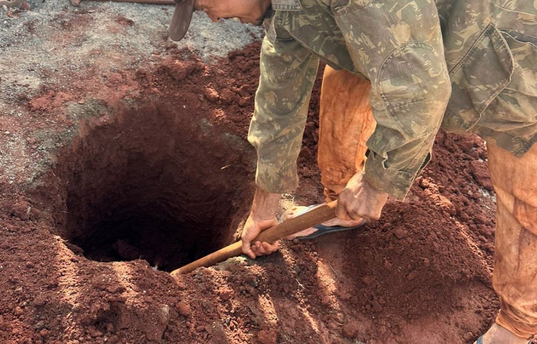Dona de fazendinha enterra animais mortos por criança de 9 anos em massacre • Reprodução