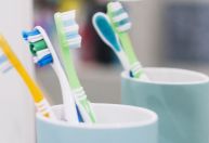 Mais de 600 vírus vivem nas escovas de dentes e no chuveiro, sugere estudo