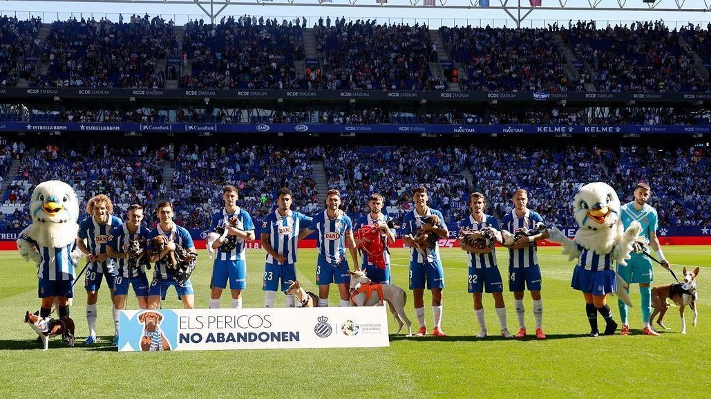 Elenco do Espanyol em campanha contra o abandono de cachorros antes de enfrentar o Mallorca pelo Campeonato Espanhol