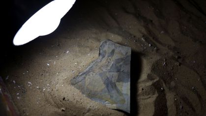 Fóssil do girino mais antigo do mundo, que coexistiu com dinossauros no Jurássico Médio, há cerca de 165 milhões de anos, é retratado em Buenos Aires, Argentina