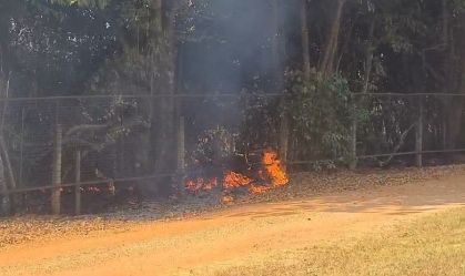 incendioflorestal