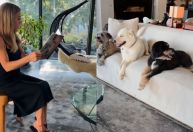 Cachorros de Jennifer Aniston assistem leitura de livro da atriz