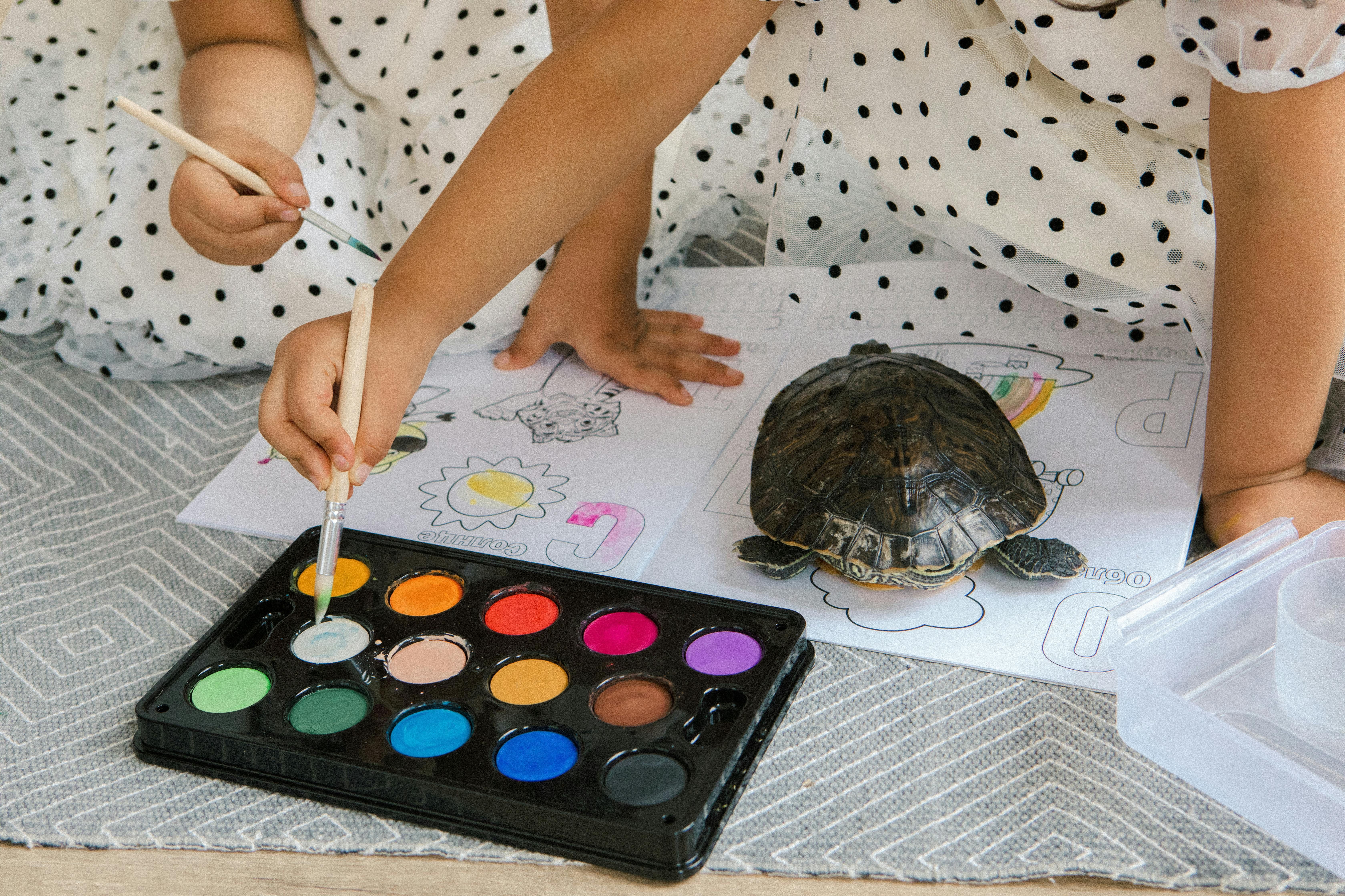 Kits de arte para explorar as habilidades artísticas • Pexels