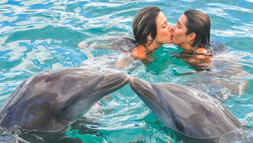Na coletânea de registros, a artista aparece beijando a namorada imitando os mamíferos, ela dando as mãos para o animal, imagens beijando a companheira e posando de biquíni