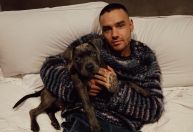 Saiba o que aconteceu com Stanley, cachorro de Liam Payne, após morte do cantor
