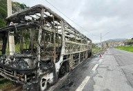 Palmeiras se manifesta após ataque da Mancha a ônibus da Máfia Azul