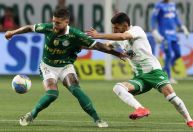 Palmeiras mira liderança do Botafogo e defende tabu contra o Juventude