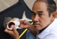 Peixe-fantasma que não era visto desde 2005 reaparece no Camboja; entenda