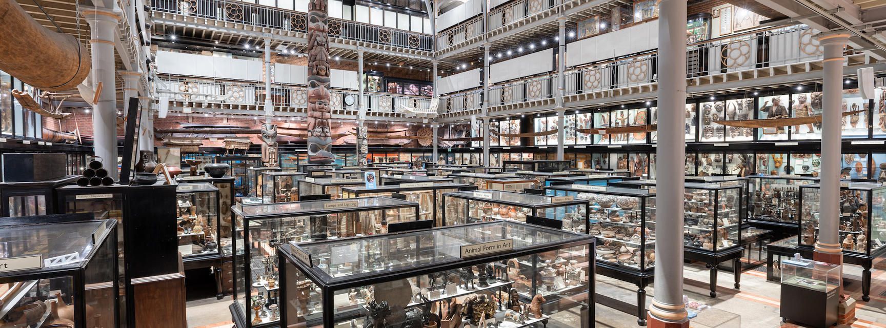 pitt_rivers museu